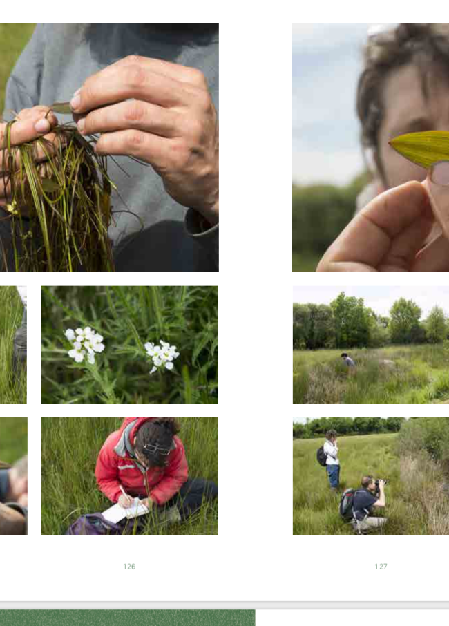  - BRUNO SERRALONGUE: Comptes rendus photographiques...   lancement du livre et sgroppinos